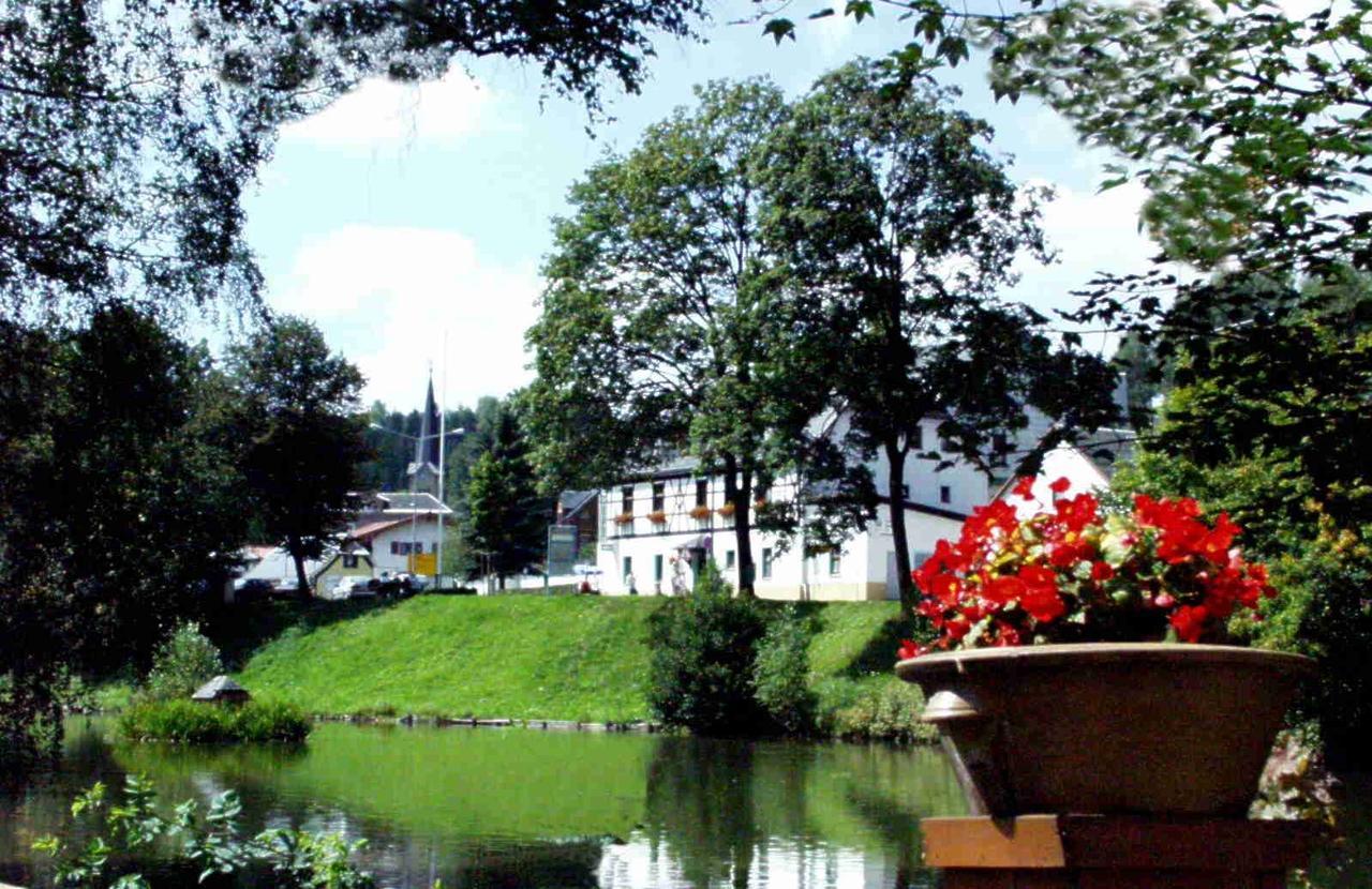 Hotel Gasthof Zum Walfisch Klingenthal Kültér fotó