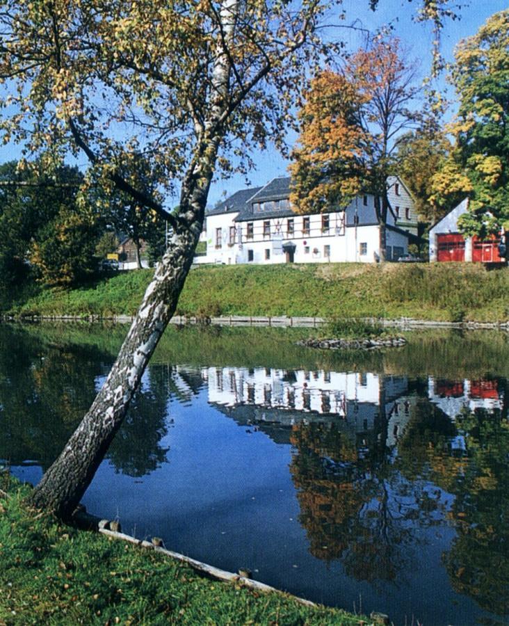Hotel Gasthof Zum Walfisch Klingenthal Kültér fotó