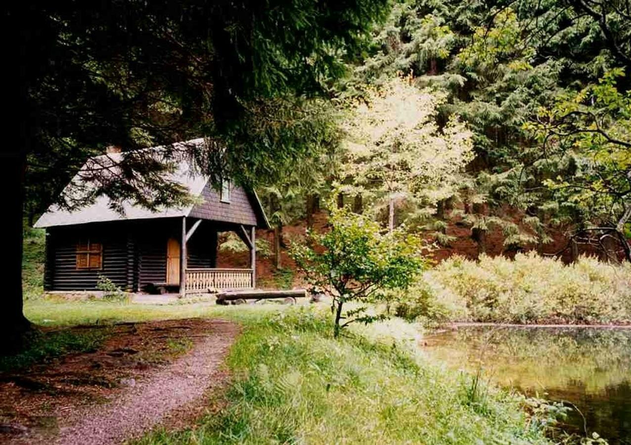 Hotel Gasthof Zum Walfisch Klingenthal Kültér fotó